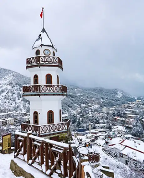 Shimla