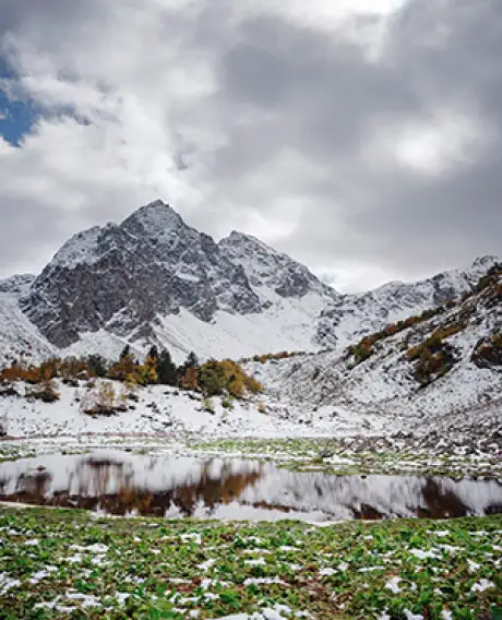 Kashmir