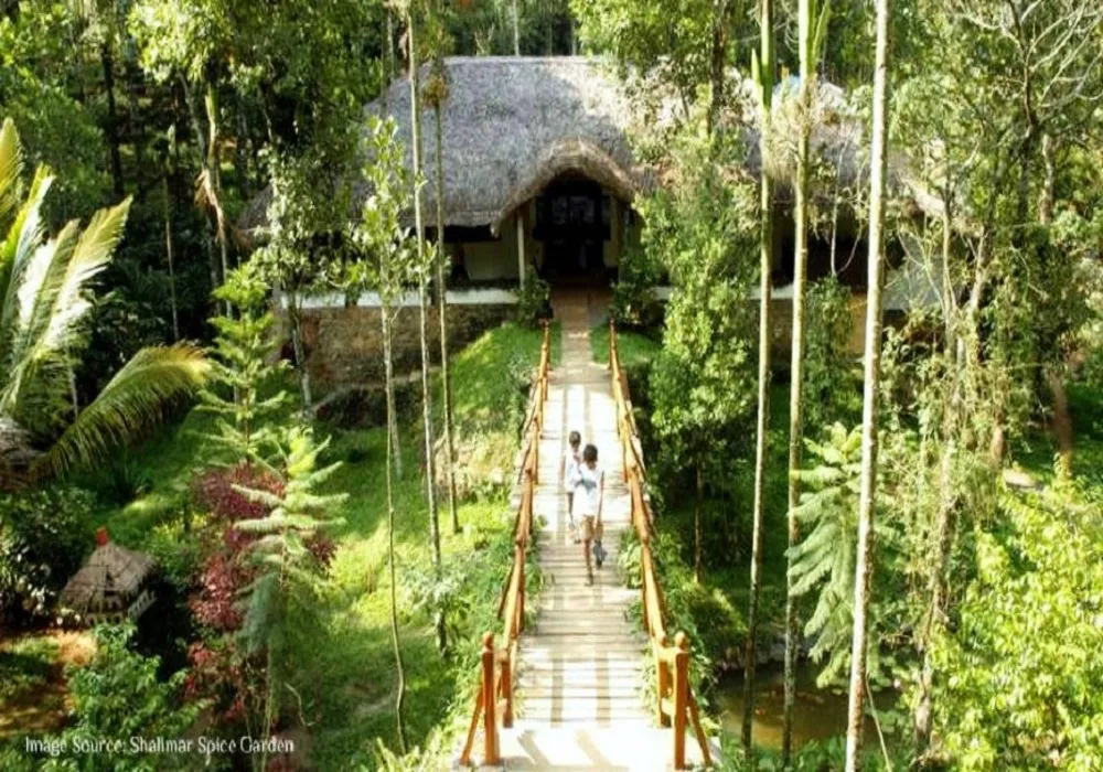 Alleppey First (3 Nights / 4 Days – Ex Cochin)
