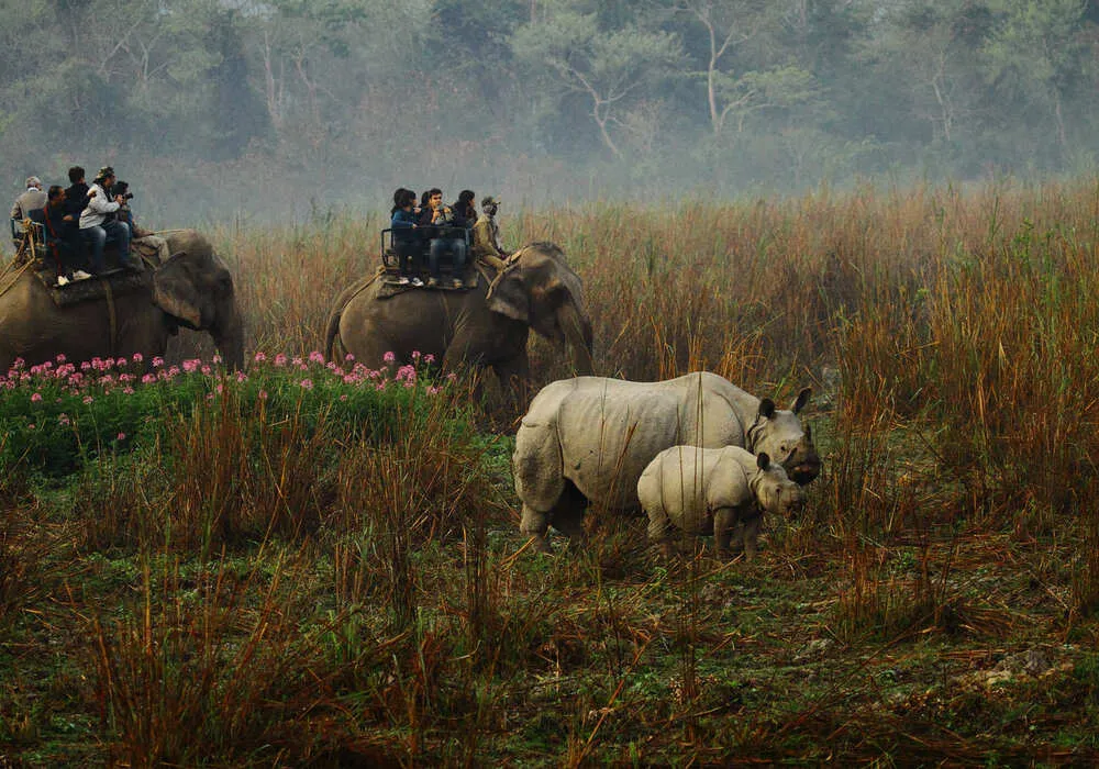 From Rhinos to Monasteries: 9 Days & 8 Nights across Kaziranga, Tawang & Beyond