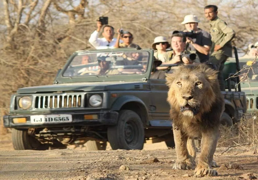 Gujarat: From Sabarmati to Somnath 11 Days/ 10 Nights