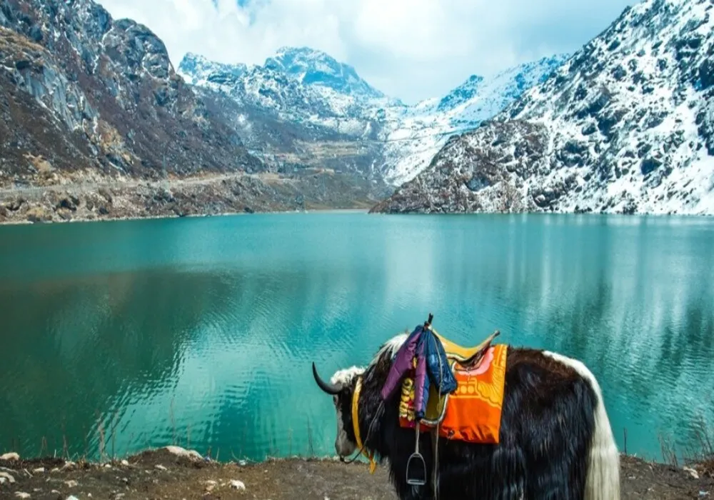 Sikkim – Darjeeling Getaway for 05 Nights and 06 Days