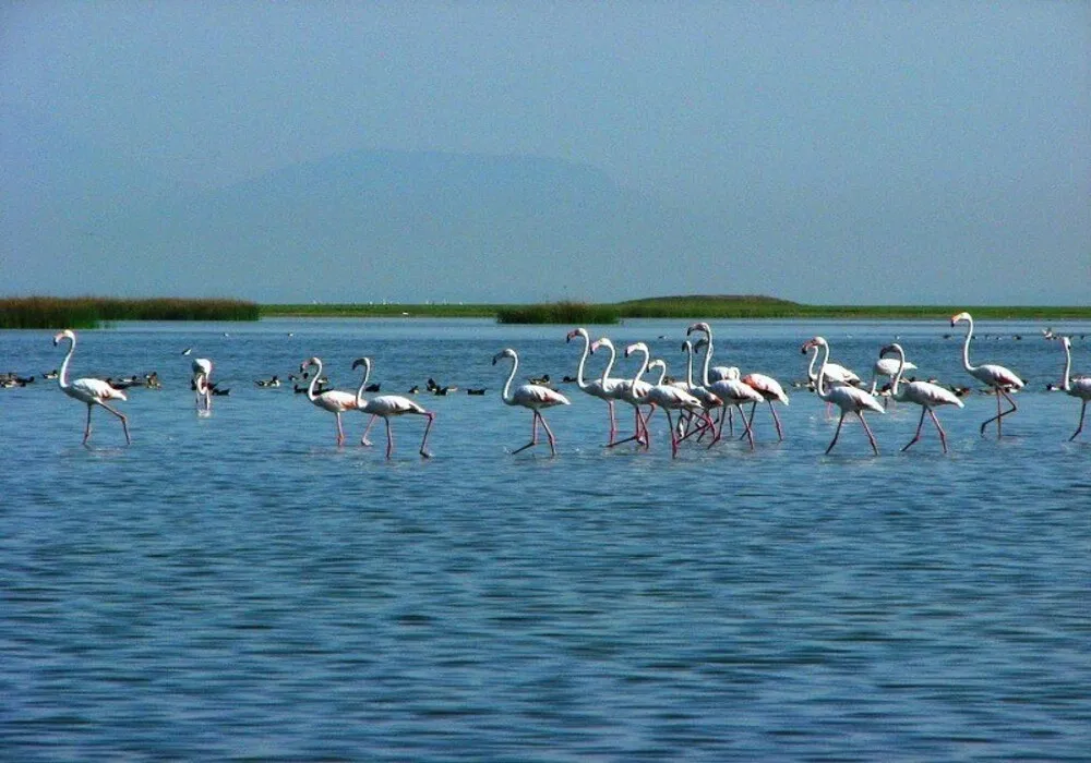 “8 Days / 7 Nights of Odisha Magic: Puri, Konark, Chilika & Bhitarkanika”