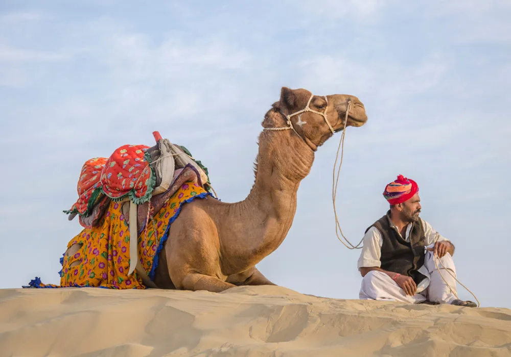 Rajasthan 11-Night Experience: A Journey Through Royal Heritage