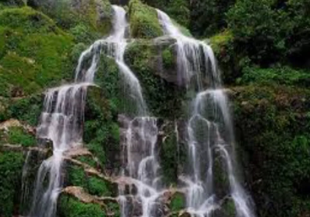 Eastern Himalyas 7 Nights/8 Days