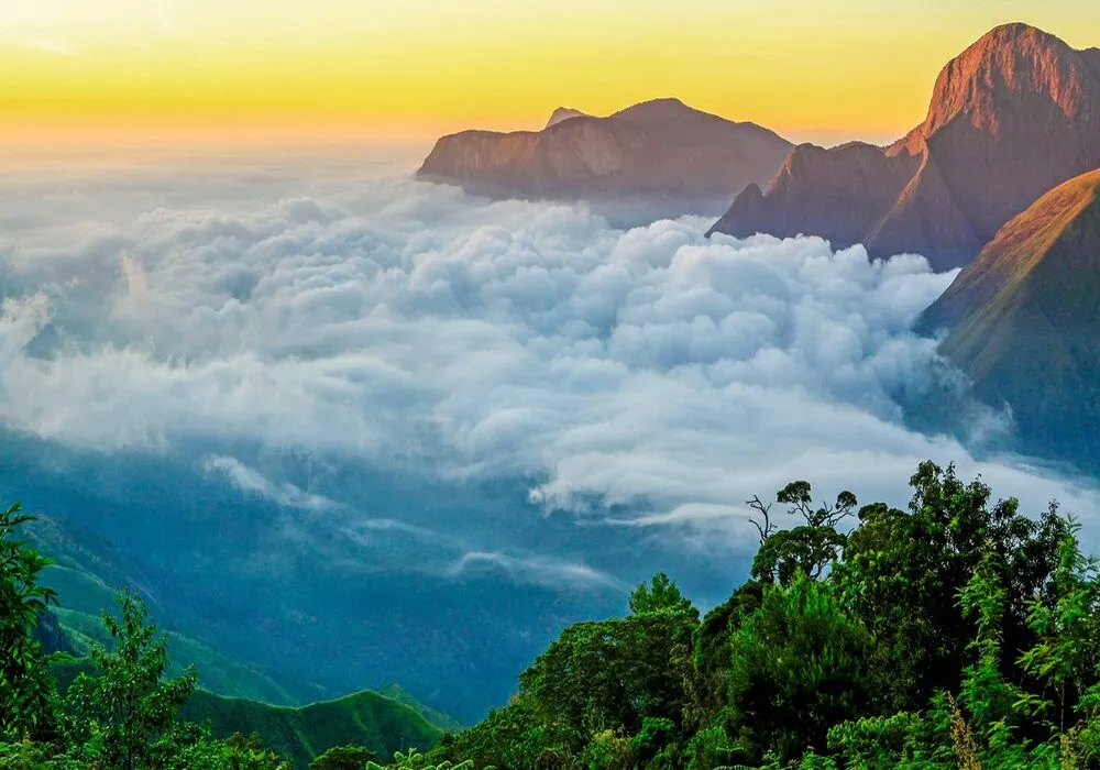 Kerala Explorer (6 Nights / 7 Days – TRV to COK)