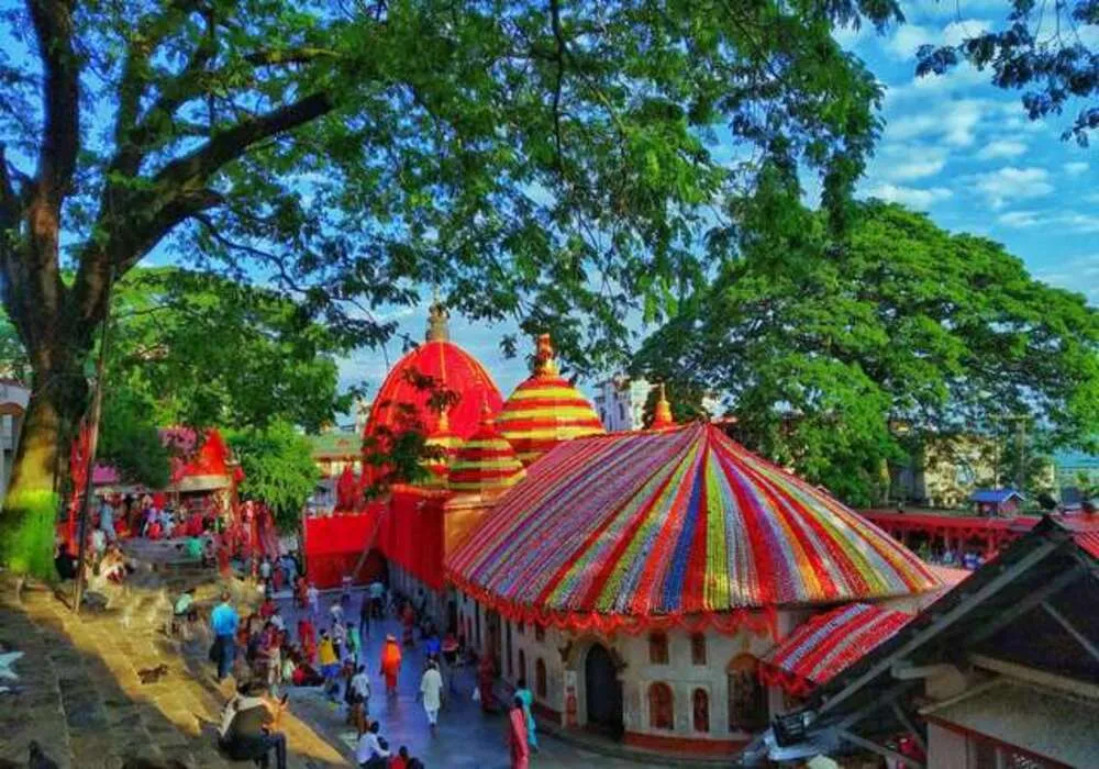 From Rhinos to Monasteries: 9 Days & 8 Nights across Kaziranga, Tawang & Beyond