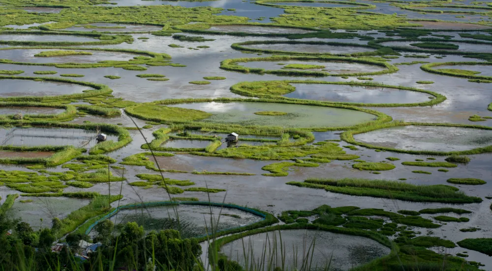 From Rhinos to Monasteries: 9 Days & 8 Nights across Kaziranga, Tawang & Beyond