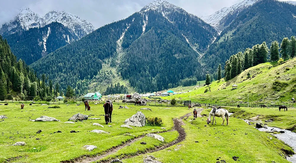 Kashmir 5-Night Experience: A Perfect Blend of Serenity, Adventure, and Culture